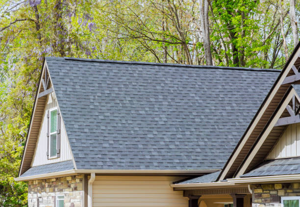 Best Solar Panel Roofing Installation  in Lincoln, MO